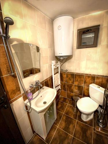 a small bathroom with a toilet and a sink at Старият Дюкянь in Elena