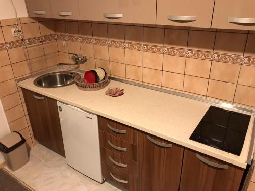 Kuhinja ili čajna kuhinja u objektu Apartman Samardžić