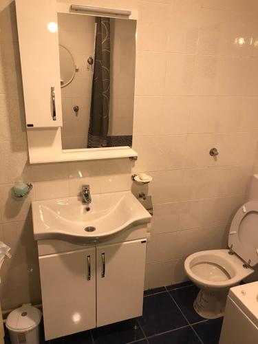 un bagno bianco con lavandino e WC di Apartman Samardžić a Višegrad