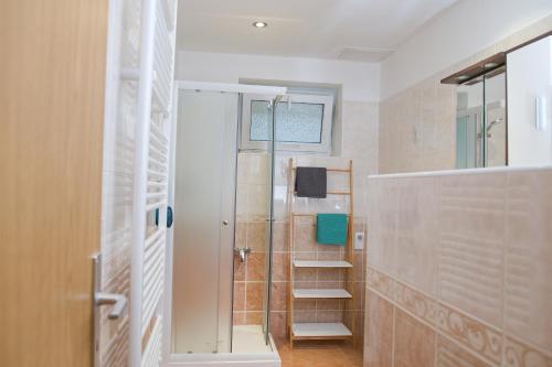 a bathroom with a walk in shower next to a glass door at Apartmán Pod Černou Horou in Svoboda nad Úpou