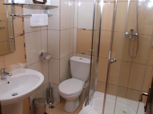 a bathroom with a toilet and a sink and a shower at Complex Verona Predeal in Predeal