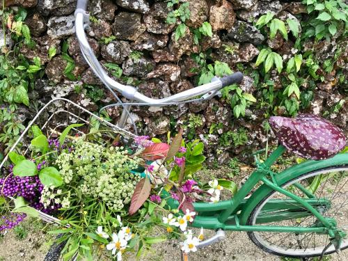 a green bike with flowers on the ground at Travelers House おーさんてぃん青空舎 in Taketomi