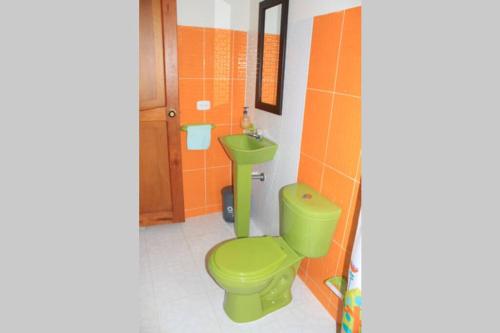 La salle de bains est pourvue de toilettes vertes et d'un lavabo. dans l'établissement Casa el Colibrí, Finca Cerros de Payuco, à Fresno