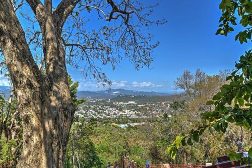 a view of the city from a tree at Tropical Ponce Home Private Pool and Outdoor Oasis! in Ponce