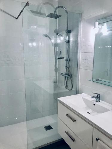 une salle de bain blanche avec une douche et un lavabo dans l'établissement Les Fauvettes, à Ouzouer-sur-Loire