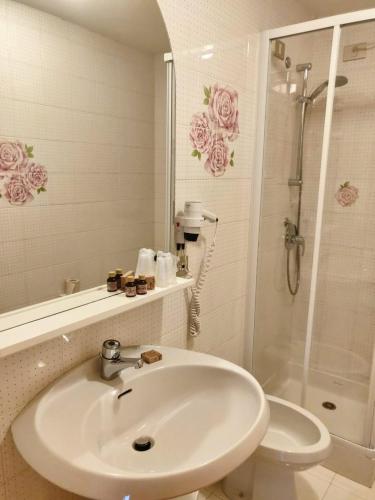 a bathroom with a sink and a shower and a toilet at Meublè Cima Bianca Garni in Bormio