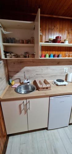 a kitchen with a sink and a counter top at Domacinstvo Prentovic in Čajetina