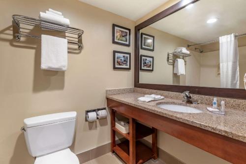 a bathroom with a sink and a toilet and a mirror at Comfort Inn & Suites in Morehead