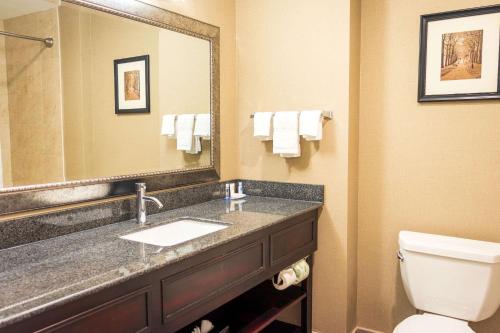 Comfort Inn & Suites Plainville-Foxboroにあるバスルーム