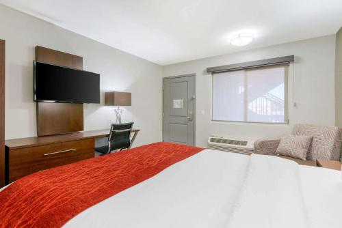Katil atau katil-katil dalam bilik di Comfort Inn Antioch - Century Plaza