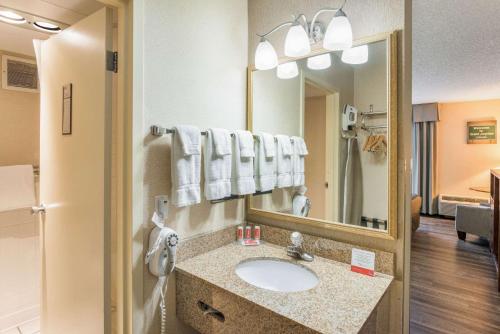 W łazience znajduje się umywalka i lustro. w obiekcie Econo Lodge w mieście Grand Junction