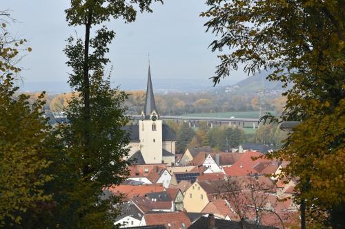a view of a town with a church and buildings at Pension Maintal Eltmann in Eltmann
