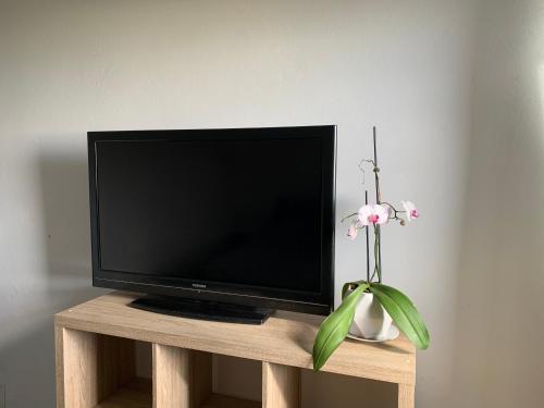 TV de pantalla plana en un soporte de madera con una flor en Ferme l'Eau de Coco, en Saint-Paul