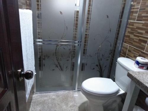 a bathroom with a toilet and a glass shower stall at Apartamento de una habitacion ,con wifi Luz 24/7 in Jarabacoa