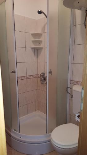 Koupelna v ubytování Apartmani Milenko Lubenice