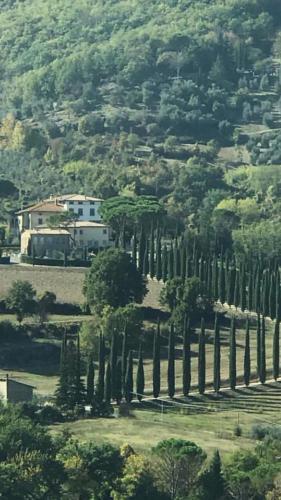 Amazing Tuscan Villa – Photos 2