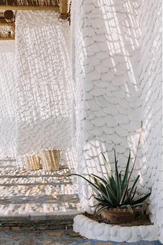 a white wall with a potted plant next to it at Agalia Luxury Suites in Tzamaria