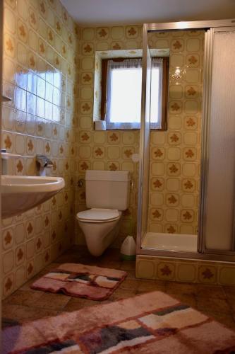 a bathroom with a toilet and a shower and a sink at Haus Garber in Zell am Ziller