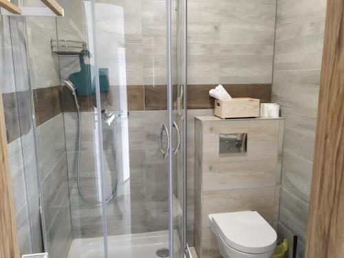 a bathroom with a shower and a toilet at Pod Śnieżnymi Kotłami in Piechowice