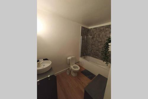 y baño con aseo y lavamanos. en Appartement T2 cosy et chaleureux - 40mn de Rennes, en Plumaugat