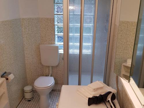 a small bathroom with a toilet and a shower at Ferienwohnung Alwine Schulte in Brilon