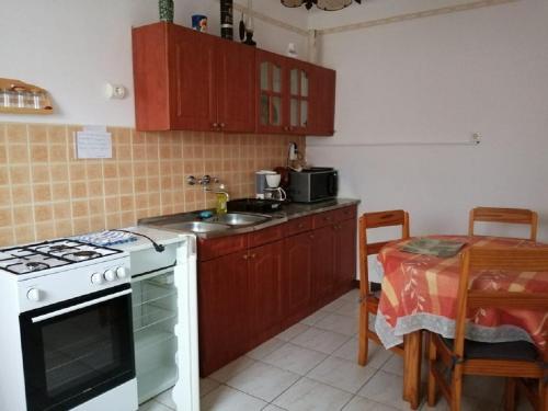 a kitchen with a stove and a sink and a table at Piroska Vendégház in Kaba