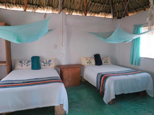 a room with two beds and a window at Cabañas Calakmul in Conhuas