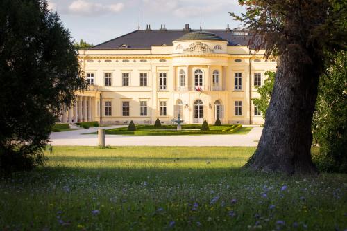 a large white building with a tree in the grass at Károlyi Kastély Hotel & Restaurant in Fehérvárcsurgó