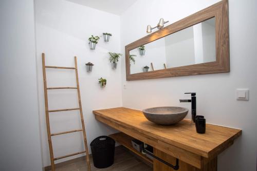 a bathroom with a sink and a mirror on a counter at Le ptit coin de la Baie in Fort-Mahon-Plage