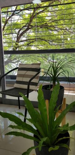CORDOBA FLAT SONOMA 4 – Photos 4