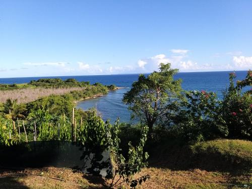 Peisaj natural din apropierea acestui apartament