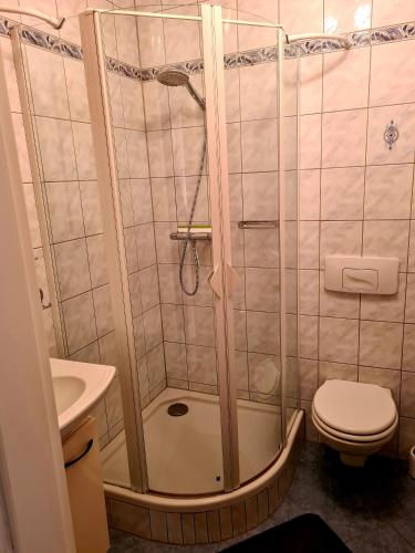 a bathroom with a shower with a toilet and a sink at Evi's Apartment in Regensburg