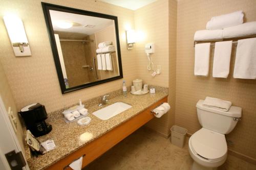 Bagno di Holiday Inn Express Saltillo Zona Aeropuerto by IHG