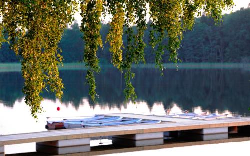 a bunch of boats on a dock on a lake at Bommersvik Hotell & Konferens in Järna