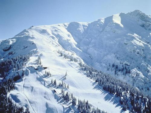 Apartment in Seefeld near Rosshütte