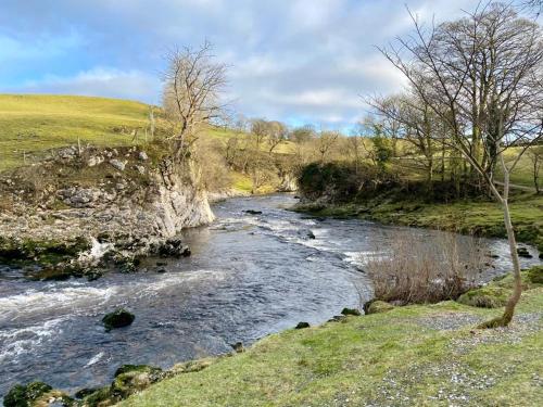 a river in the middle of a field with trees at Apple tree hut, in a private garden in Skipton