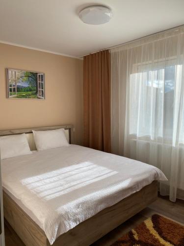 a bedroom with a bed and a window at 8 RESIDENCE APARTAMENT in Cavnic