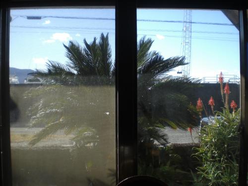 a view of a palm tree from a window at Marina bay Numazu マリーナベイ沼津 BBQ可 in Numazu