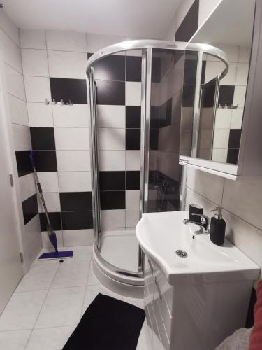 a bathroom with a shower and a white sink at Crni bor in Divčibare