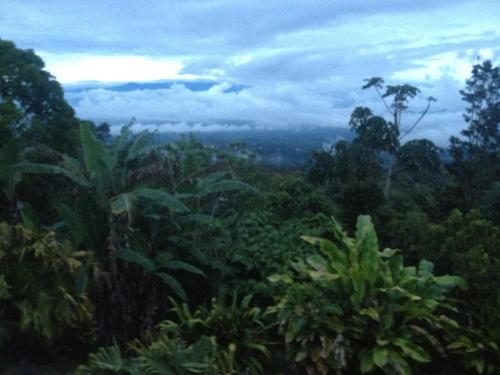 a view of a lush green forest with clouds in the sky at Cascata Del Bosco Cabinas in San Vito