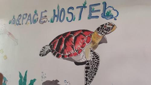 a picture of a turtle hanging on a wall at Space Hostel , quartos privativos in Arraial do Cabo