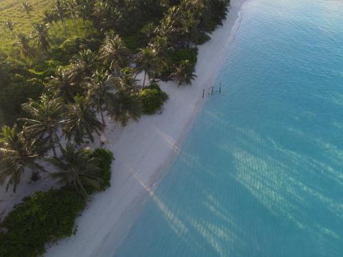 an aerial view of a beach with palm trees and the ocean at Alesara Guest House in Thoddoo