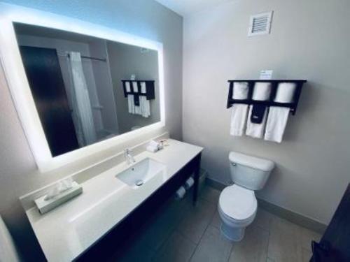 a bathroom with a sink and a toilet and a mirror at Holiday Inn Express Hotel & Suites- Gadsden by IHG in Gadsden