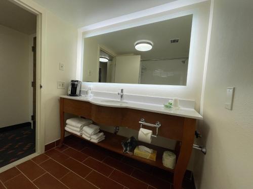 
a bathroom with a sink, mirror, and a towel rack at Holiday Inn Bangor, an IHG Hotel in Bangor
