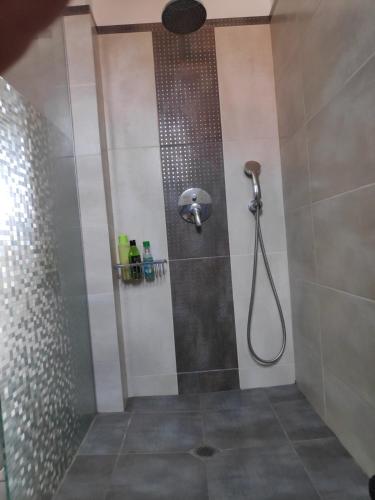 a bathroom with a shower with a shower head at Апартамент “МИЛА” in Troyan