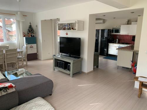 sala de estar con sofá y TV de pantalla plana en Апартамент “МИЛА”, en Troyan