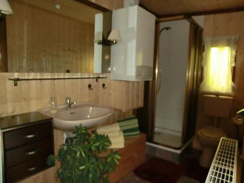 a bathroom with a sink and a shower and a toilet at Bungalow in Hermsdorf