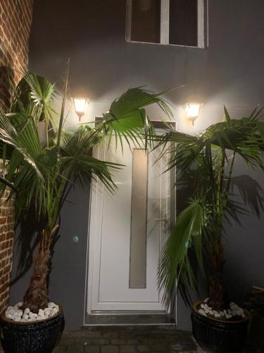 deux palmiers en pots devant une porte dans l'établissement Diane Luxury 2, à Roubaix