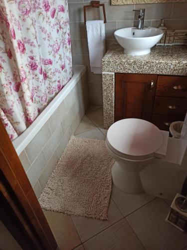 
a white toilet sitting next to a sink in a bathroom at Casa da Azenha in Sortelha
