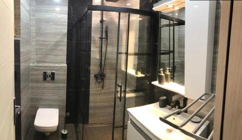 a bathroom with a shower with a toilet and a sink at Planinski biser Mokra Gora in Mokra Gora
